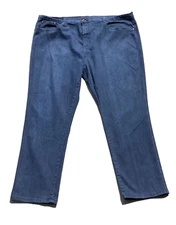 Diane Gilman Jeans Women’s 2X Blue DG2 Denim Jeggings Stretch EX