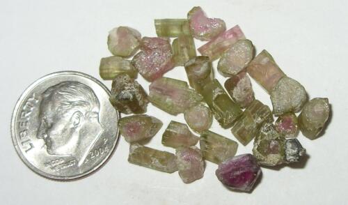 25ct Lot Watermelon Tourmaline Rough Small Crystals, Slices & Pieces *REDUCED* - Afbeelding 1 van 2
