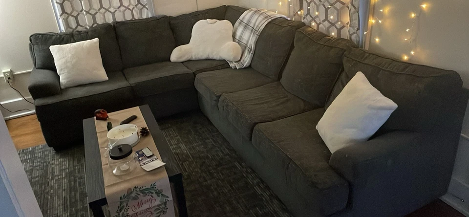 very beautiful Adelson Chenille 2-pc couch. no stains no dents. - Image 3 of 3