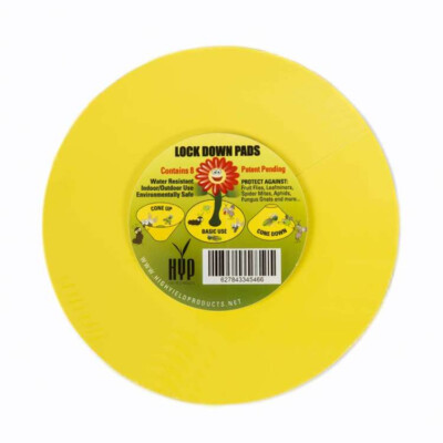 HYP Lock Down Pads 15cm 8 Stk Insektenfalle Klebefalle Rund Schutz Garten