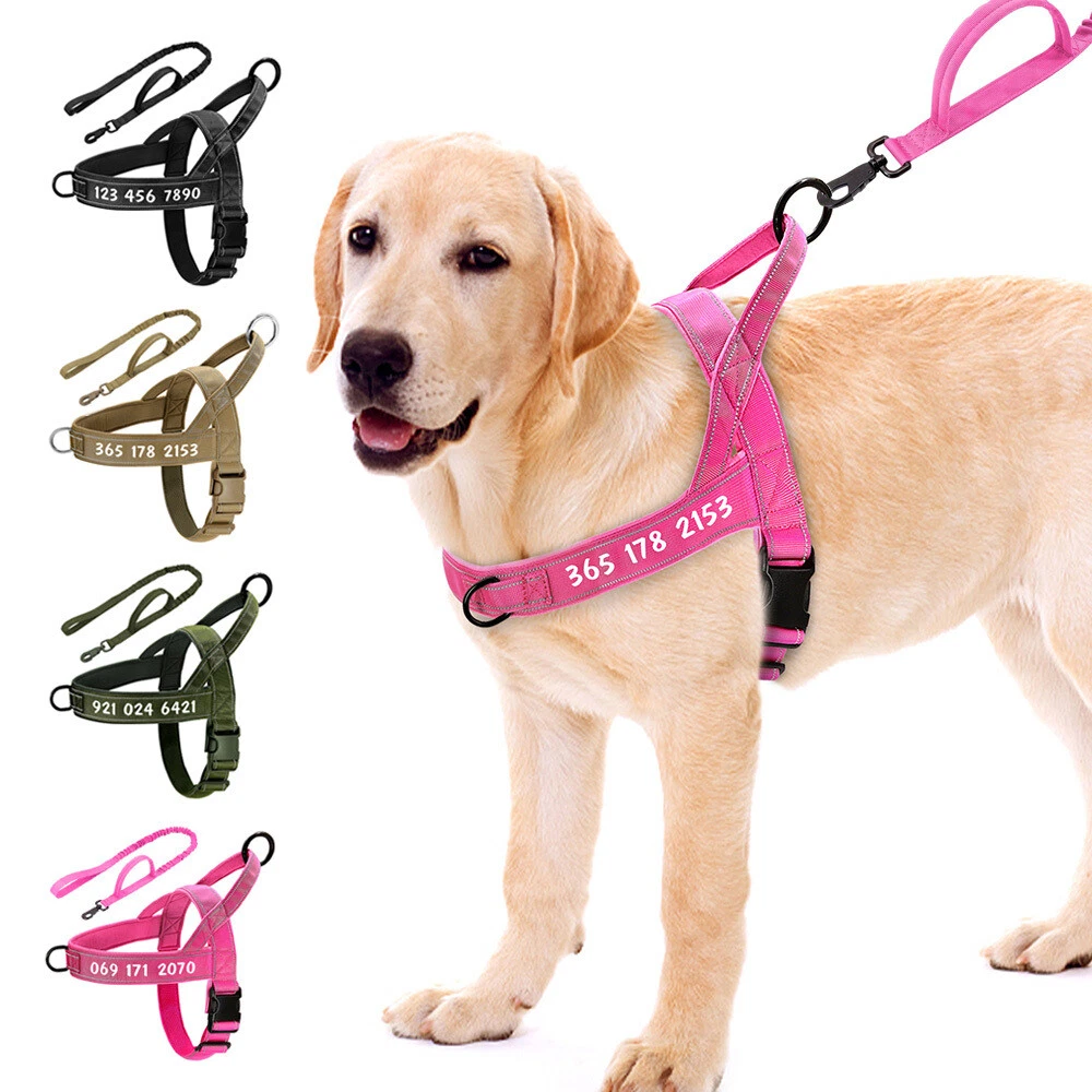 Tactical No Pull Dog Harness and Nylon Bungee Lead Set Personalised Pet  Name XL