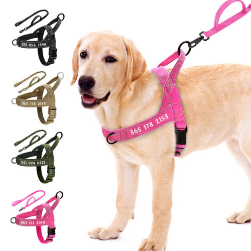 Tactical No Pull Dog Harness and Nylon Bungee Lead Set Personalised Pet Name XL - Foto 1 di 20