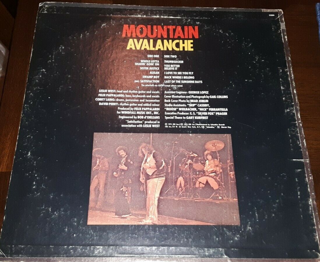 激安ブランド レコード中古品LP盤 Mountain Avalanche drjoaomarcos.com.br