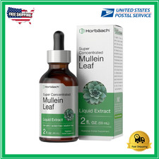 Mullein Leaf Extract Organic Lung Cleanse Drops for Lung Health Natural Herbal