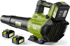 ACESKY LEAF BLOWER CORDLESS 580CFM/160MPH & 3 SPEED BATTERY/ CHARGER - GREEN