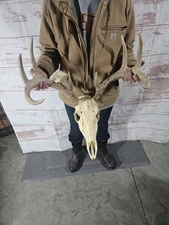 Wild 8 Point Whitetail Deer Antler Rack Horn Fake Skull Mount Man Cave 129"