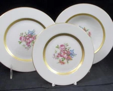 Haviland Kenmore Group of Bread & Butter Plate Salad Plate and Rim Soup Bowl