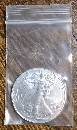 2023 1oz American Silver Eagle Coin (Brilliant Uncirculated) #2