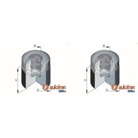 2X Autofren 48Mm Kolben Bremssattel Hinten Vorne Passend FüR Jeep Cherokee Grand