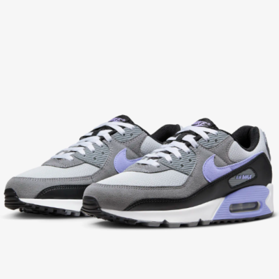 Nike Air Max 90 Shoes 