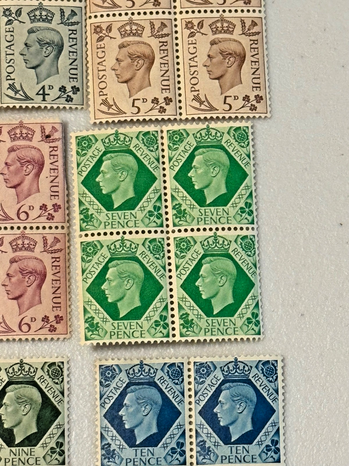 Picture 5 of 19