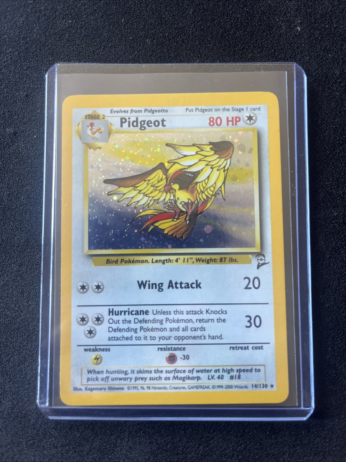 Pokémon TCG Pidgeot Base Set 2 Holo Unlimited Rare-NM Card 14/130