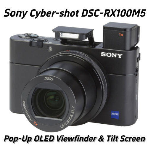 Sony RX100 Mark V Digital Camera Zeiss Lens 4K Video