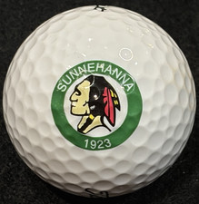 Sunnehanna Country Club Logo Golf Ball Johnstown PA Titleist