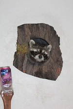 New Raccoon Mount Taxidermy Whitetail Deer Log Cabin Antler Decor Mule Novelty 