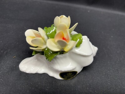 Aynsley ''AUTUMN / CROCUS'' England Bone China ~ Flower in Shell