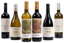 6 Flaschen Probierpaket Rot & Wei&szlig; Premium Portugal KOSTENLOSER Versand ab 79&euro;