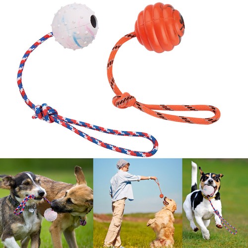 2 Pack Dog Ball Training Ball on Rope for Reward Fetch Play Exercise ...
