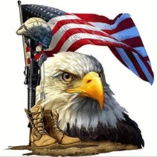 DECAL, EAGLE & FLAG, 7" X 7", FREE SHIPPING