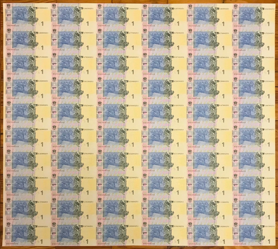 ¡Nuevo! Ucrania - Hojas completas (enteras) sin cortar de 1 y 2 HRYVEN 2018 x 60 piezas - sin circular Foto 4 de 4