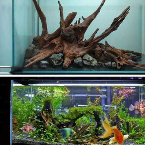 Natural Aquarium Sinkable Driftwood Fish Tank Branches Decor for Fish Hiding - Picture 3 of 9