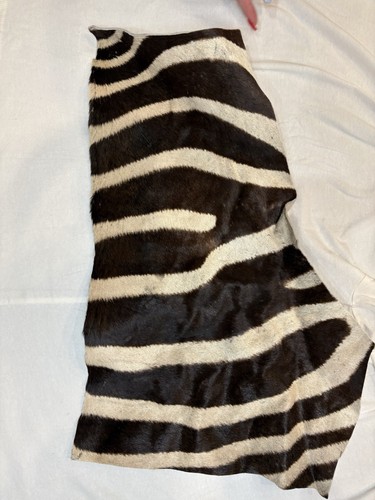 Hair-On Zebra Hide Pelt Black White Craft Material