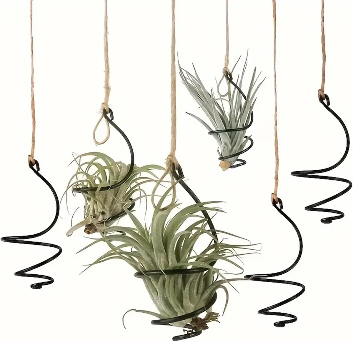 6 pcs set Hanging Air Plant Holder Air Plant Hanger with Jute Ropes,  Soilless Ai | eBay