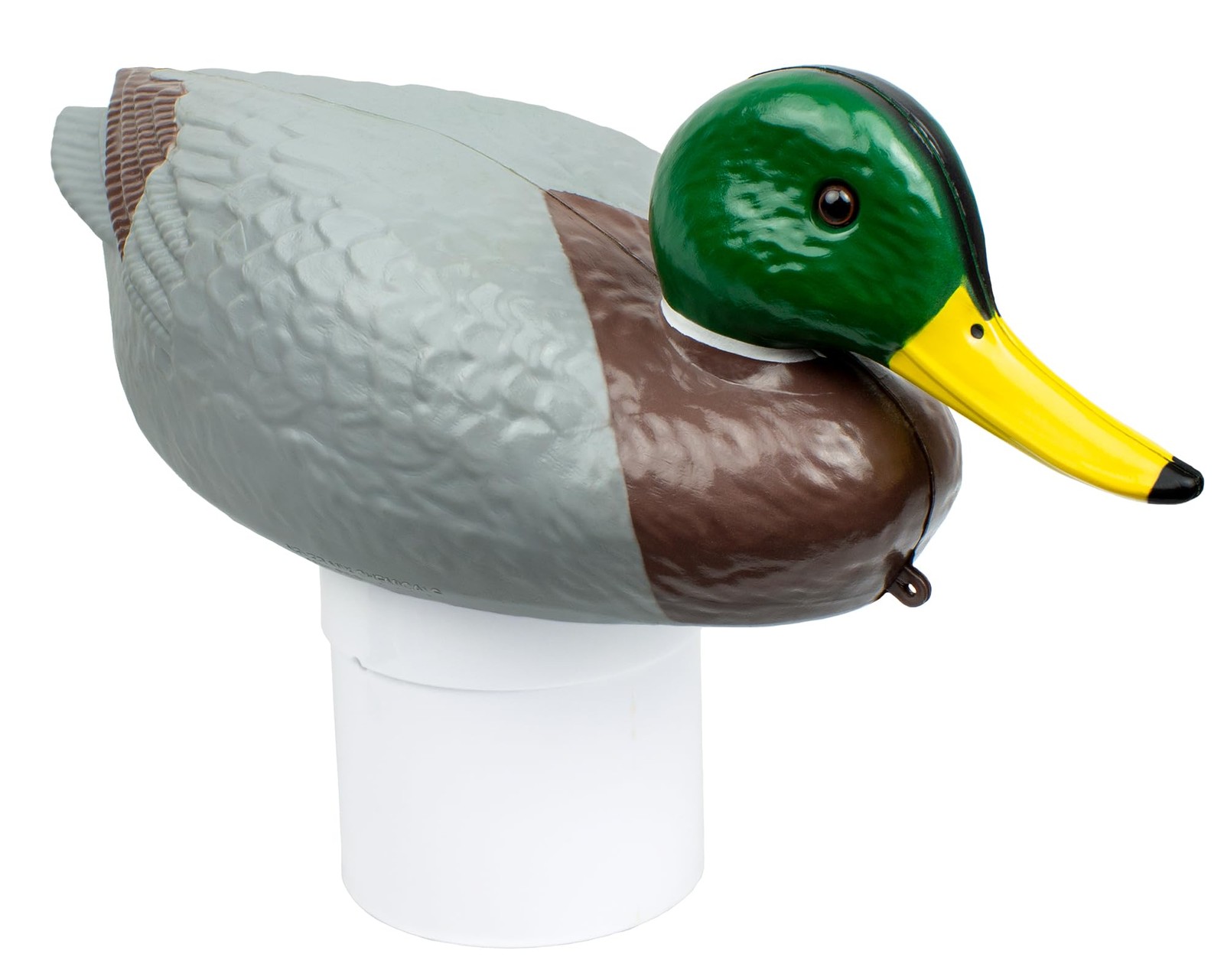 Poolmaster 32130 ChloriDuck Mallard: Dosatore Cloro Galleggiante Professionale