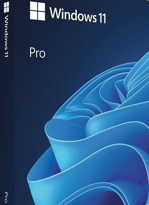 WIN 11 PRO 64 BIT USB Stick + KEY STICKER / PKC  DEUTSCH
