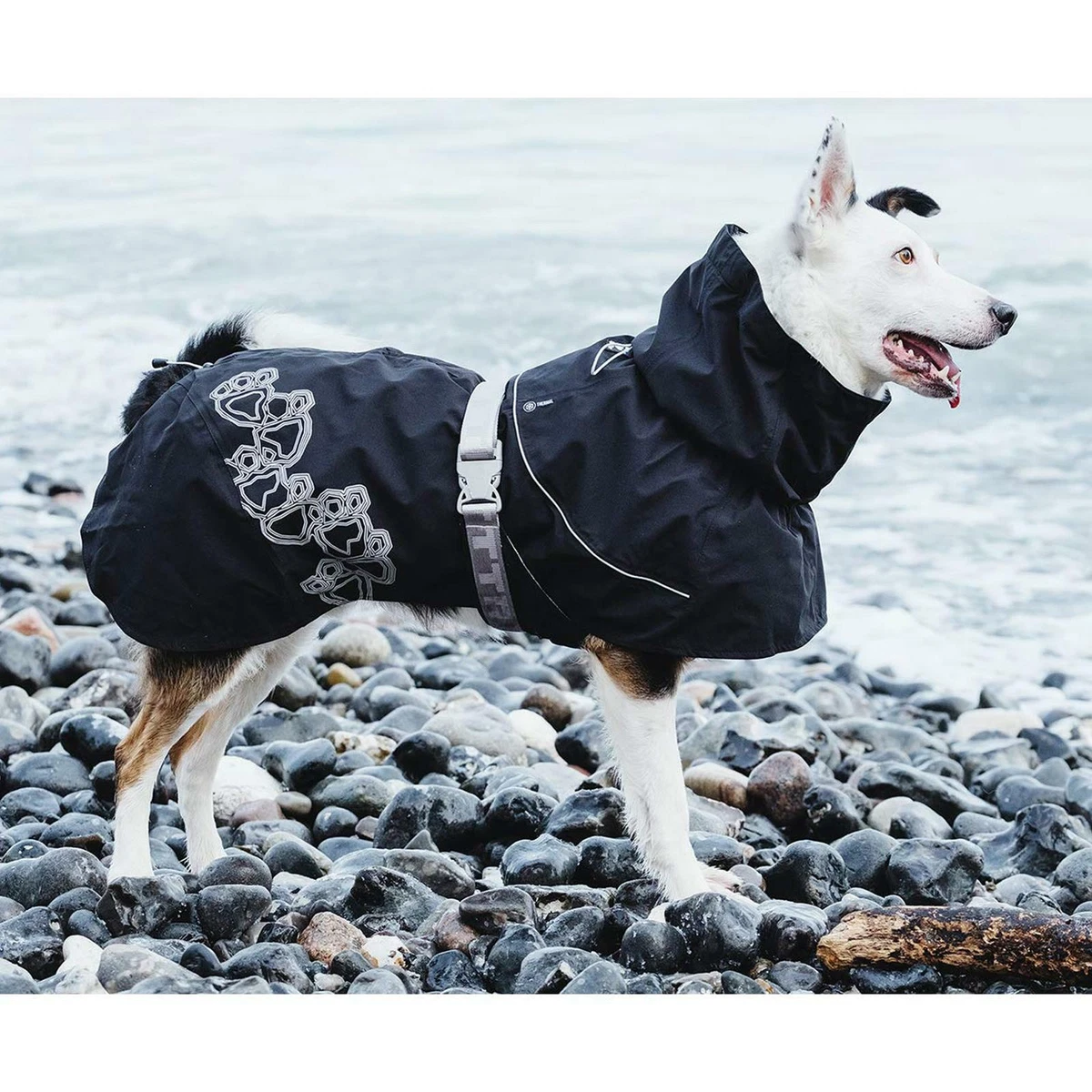 Hurtta hotsell dog wear