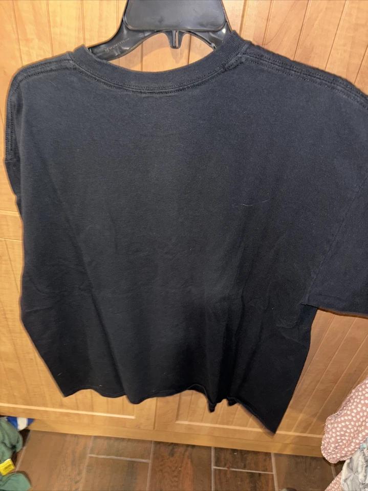 Camiseta para hombre Fantasmic Dragon de los parques de Disney Hanes talla XL Foto 4 de 4