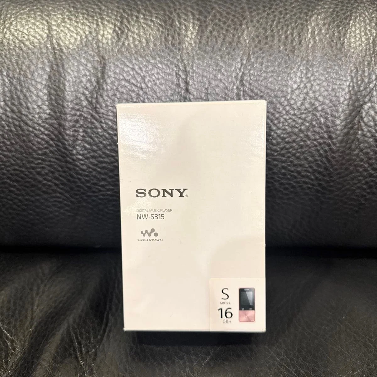 Sony Walkman NW-S315 16 Go Lecteur Audio Numérique Boîte Câble Écouteurs...