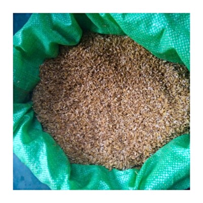 Rice Hulls Dried Rice Husks 100%Natural Organic Compost Hydroponic Growing Media