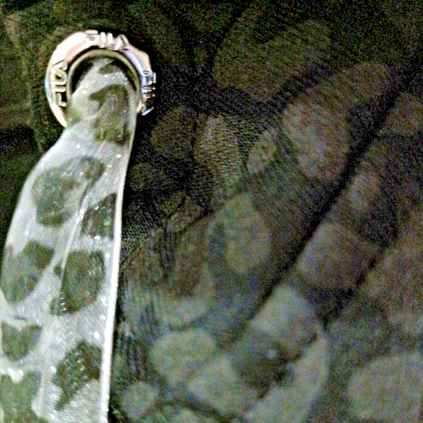 Felpa con cappuccio donna Fila S