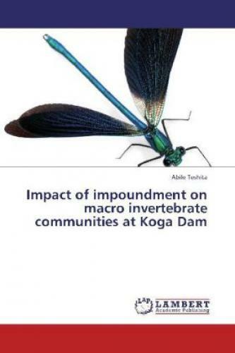Thumbnail - Impact Of Impoundment On Macro Invertebrate Communities At Koga Dam
