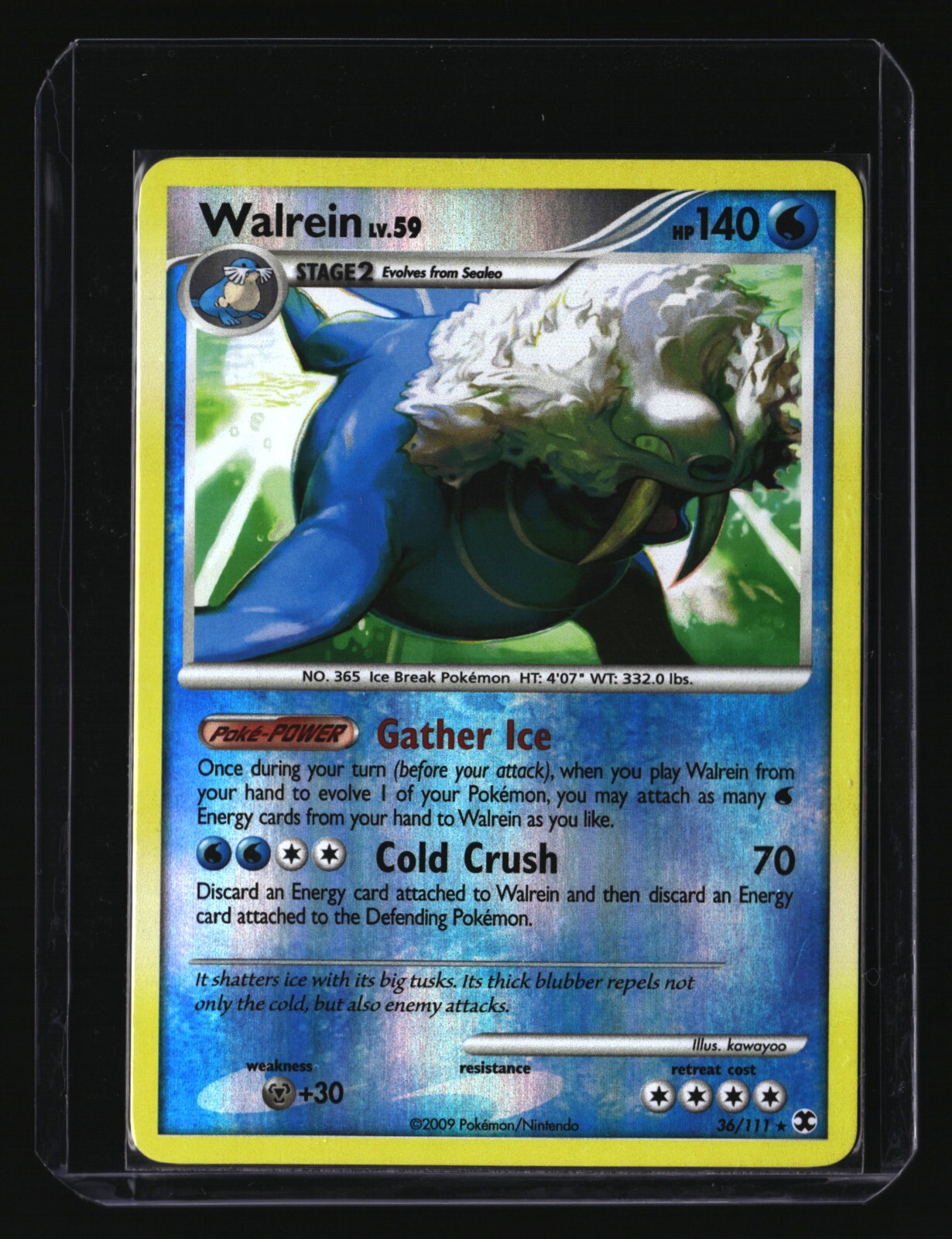 Pokemon WALREIN  36/111 Reverse Holo (2009 Rising Rivals) LP/Light Play