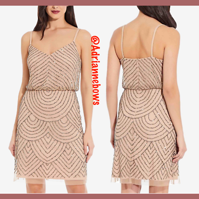 NEW Adrianna Papell Beaded Mesh Blouson Dress in Taupe Pink [SZ 6 ] #N73 |  eBay