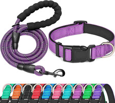 Reflective Dog Collar Padded w/ Soft Neoprene Breathable Adjustable Nylon Collar