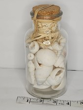 Bottle with White Shells Beachcombers