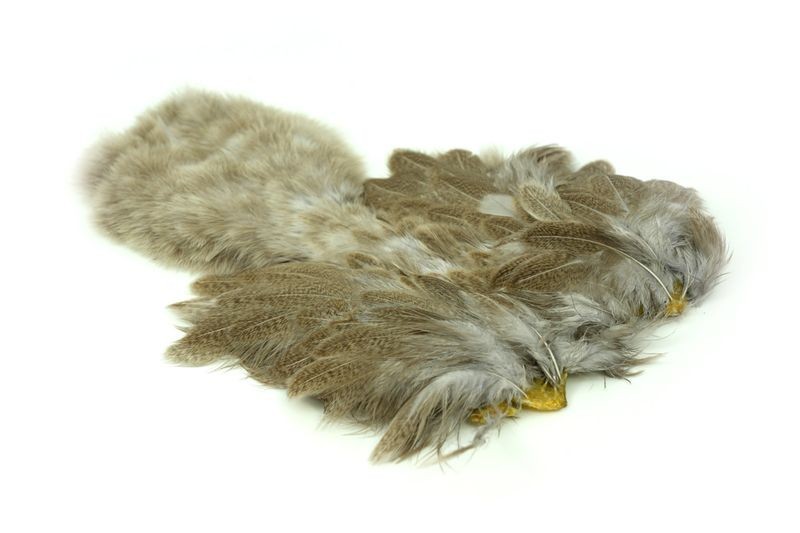 Whiting Farms Brahma Hen Soft Hackle Chickabou plume montage mouche truite
