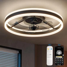 Modern Ceiling Fans, 20 Inch Black Ceiling Fan with Lights and Remote Control, A