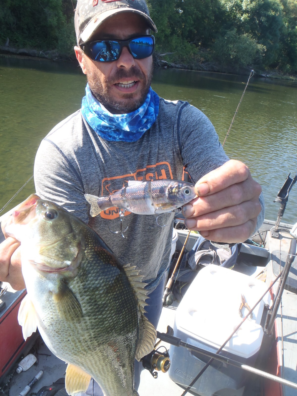 Swimbait sale auction 10 swimbaits  Striper swimbait fishing Glide Bait bass - Image 12