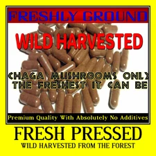 CHAGA MUSHROOM No Additives Max Potency Wild Harvested Anti Oxidant 100 Capsules