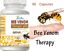 thumbnail 2  - Natural Bee 2 BIOBEE inflamatory Arthritis Pain abeemed therapy Venom veneno 