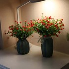 Bild 55 von 77