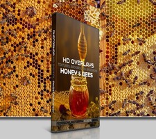 200 HONEY  BEES DIGITAL PHOTOSHOP OVERLAYS BACKDROPS BACKGROUNDS PHOTOGRAPHY
