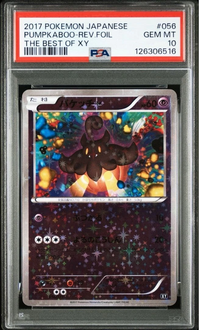 Pokémon TCG Grade 10 XY Individual Collectible Card Game Cards for