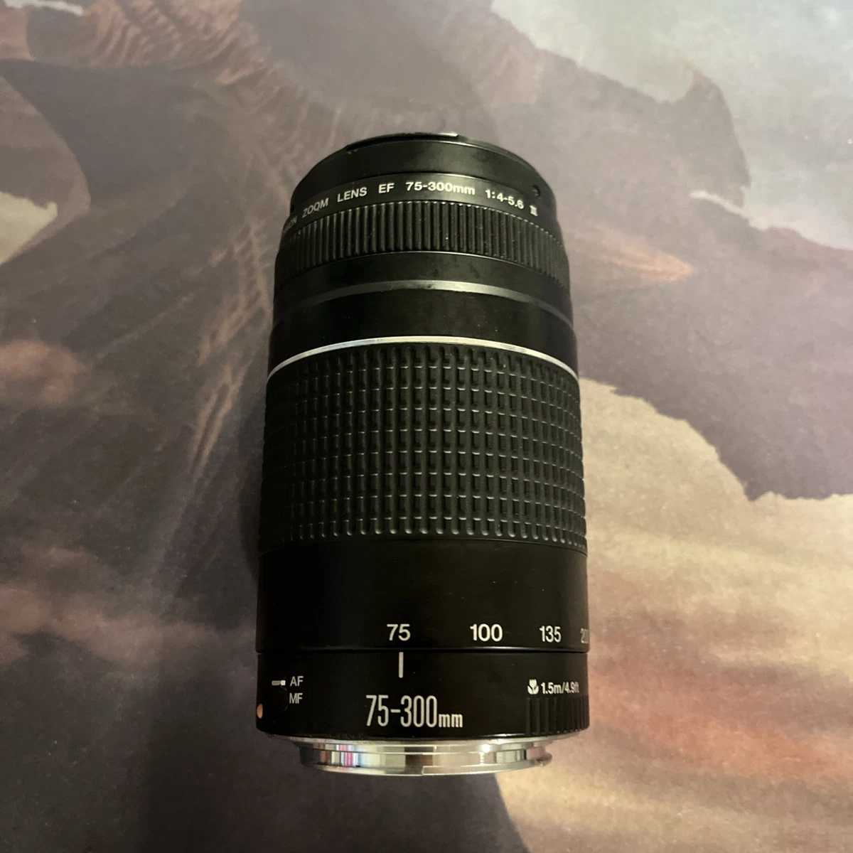 Canon EF 75-300mm Camera Lenses for sale | eBay