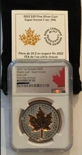 2022 1oz Canada Super Incuse Rose Gilt Maple Leaf Reverse PF70 First Day Issue!