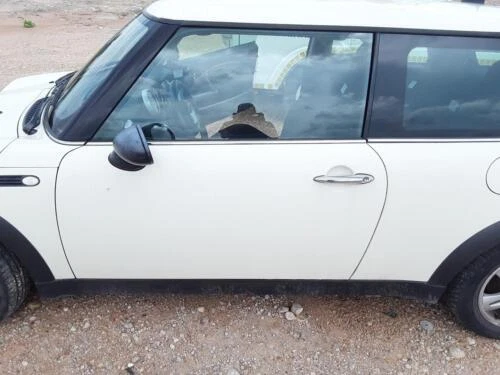 Puertas y revestimientos de puerta exteriores izquierdo Mini para coches